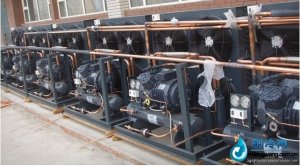 意大利都靈冷庫(kù)專用機(jī)組