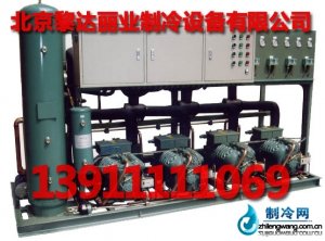 冷庫(kù)專(zhuān)用比澤爾并聯(lián)機(jī)組