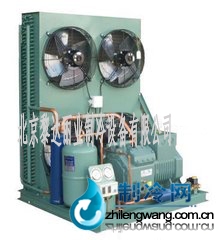 立式比澤爾壓縮機(jī)